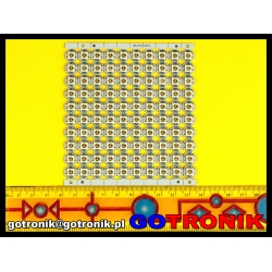 Moduł matryca 100 diod LED SMD 5050 WS2812B produkcji Epistar