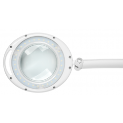 Lampa z lupą na stół 5D 6W 6500K Rebel LED