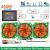 Elektroniczne obciążenie DL24M 200V 35A 450W Bluetooth